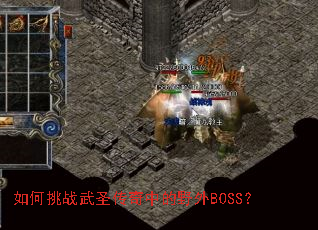 �����ս��ʥ�����е�Ұ��BOSS��