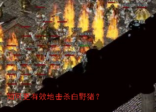 ��θ���Ч�ػ�ɱ��Ұ����