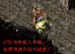 37�洫�����˹��ԣ���ο����������ƵУ�