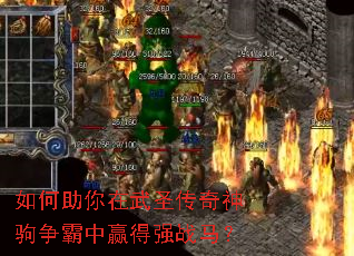 �����������ʥ�������������Ӯ��ǿս����
