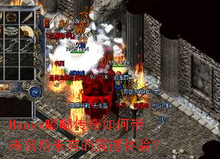 Haoyx�ུ�����δ���ǰ��δ�е������飿