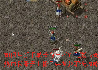 ��δ����ֳɳ�Ϊ���ߣ��Һ䴫��־��Ѫ˽�����ϼ�Ʒװ����ȡȫ����