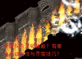 ���̽��δ֪�������Щ��Чˢ����Ѱ�����ɣ�