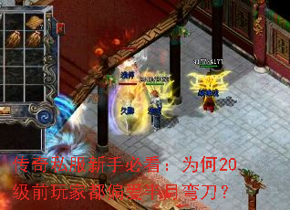 ����˽�����ֱؿ���Ϊ��20��ǰ��Ҷ�ƫ�������䵶��