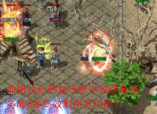 ����ҵ���Ѫ�����е��ۺϷ���NPC����Ч�����书�ܣ�