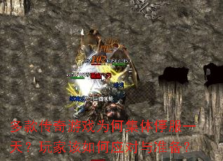 ������ϷΪ�μ���ͣ��һ�죿��Ҹ����Ӧ����׼����