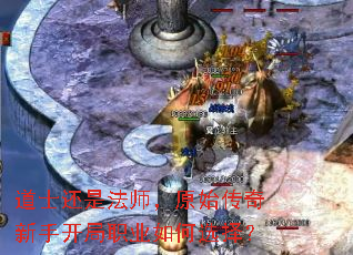 ��ʿ���Ƿ�ʦ��ԭʼ�������ֿ���ְҵ���ѡ��