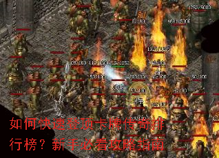 ��ο��ٵǶ����ƴ������а����ֱؿ�����ָ��