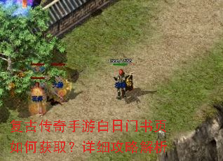 ���Ŵ������ΰ�������ҳ��λ�ȡ����ϸ���Խ���