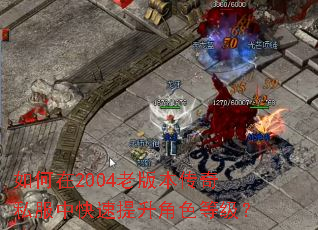 �����2004�ϰ汾����˽���п���������ɫ�ȼ���