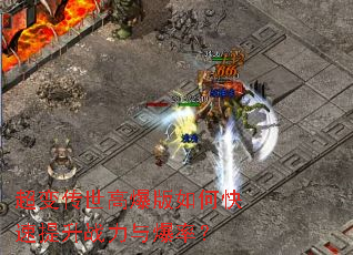 ���䴫���߱�����ο�������ս���뱬�ʣ�