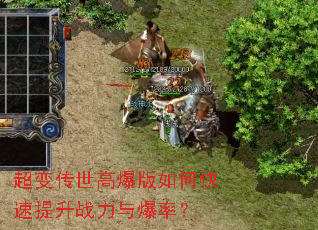 ���䴫���߱�����ο�������ս���뱬�ʣ�
