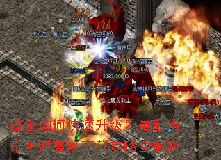 道士如何快速升级?最新传奇手游官网下载攻略全解析 道士如何快速升级?最新传奇手游官网下载攻略全解析