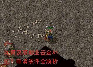 如何获取创业基金补贴?申请条件全解析 如何获取创业基金补贴?申请条件全解析