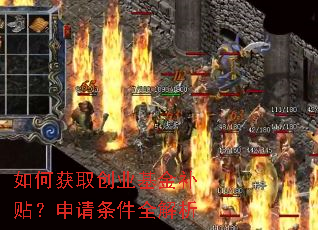如何获取创业基金补贴?申请条件全解析 如何获取创业基金补贴?申请条件全解析