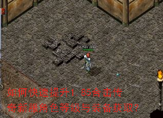 如何快速提升1.85合击传奇新服角色等级与装备获取? 如何快速提升1.85合击传奇新服角色等级与装备获取?
