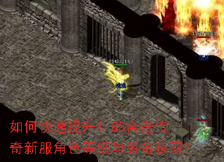 如何快速提升1.85合击传奇新服角色等级与装备获取? 如何快速提升1.85合击传奇新服角色等级与装备获取?