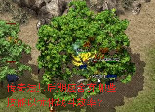 ���淨ʦ����Ӧ������Щ�������Ż�ս��Ч�ʣ�