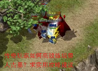 ���������θ�Ч�������˹�Ĺ����ʵ�ù��Խ���