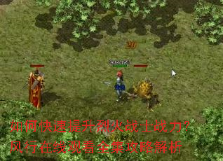 如何快速提升烈火战士战力?风行在线观看全集攻略解析 如何快速提升烈火战士战力?风行在线观看全集攻略解析
