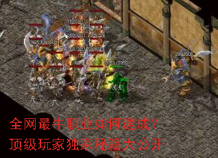 ȫ����ţְҵ����ٳɣ�������Ҷ����ؼ��󹫿�
